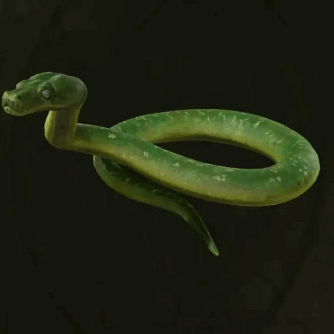 MGS Delta -  Green Tree Python