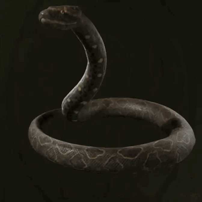 MGS Delta -  Giant Anaconda