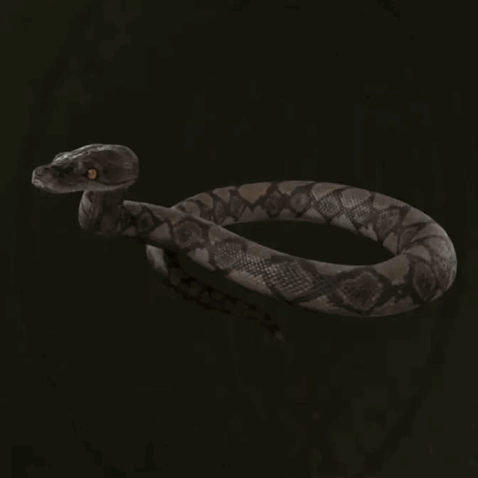 MGS Delta -  Reticulated Python