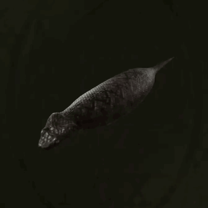 MGS Delta -  Tsuchinoko