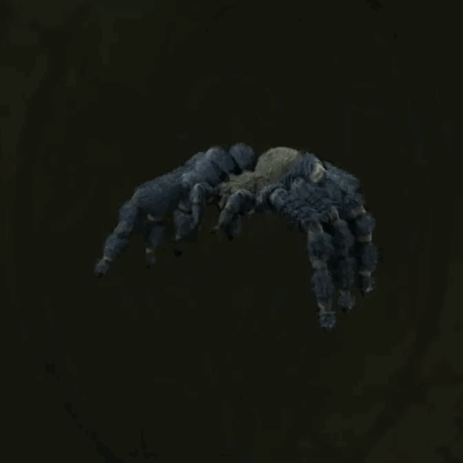 MGS Delta -  Cobalt Blue Tarantula