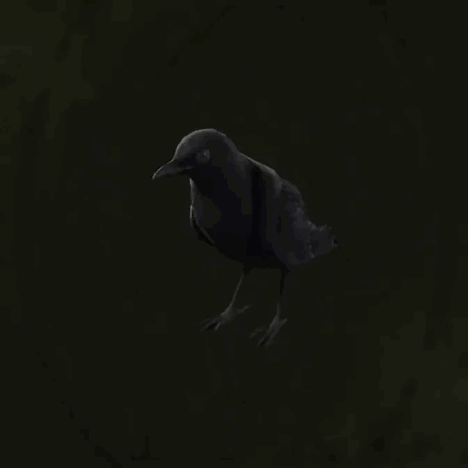 MGS Delta -  Sunda Whistling-Thrush