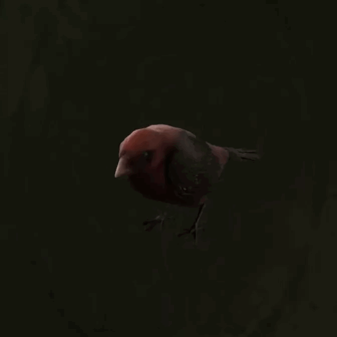 MGS Delta -  Red Avadavat