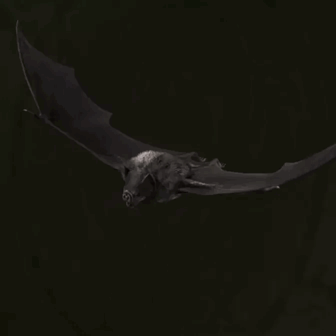 MGS Delta -  Vampire Bat