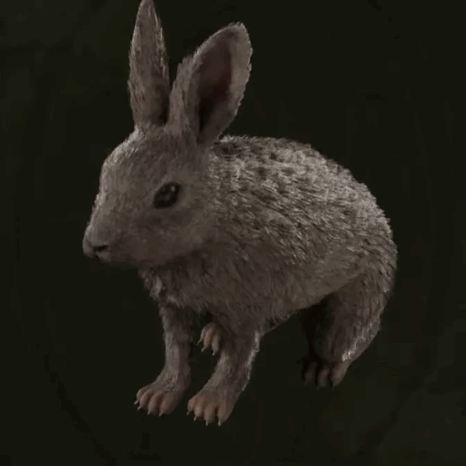 MGS Delta -  European Rabbit