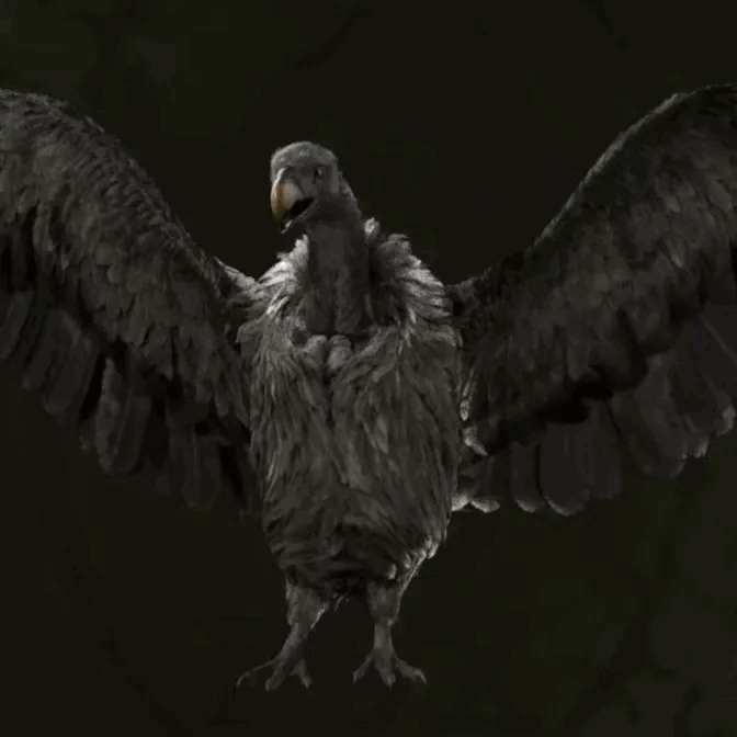 MGS Delta -  White-Rumped Vulture