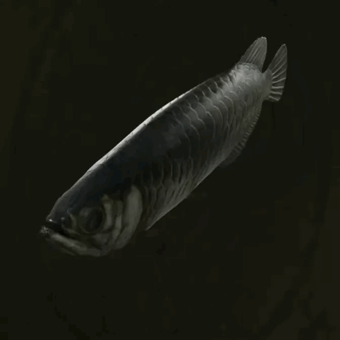 MGS Delta -  Arowana