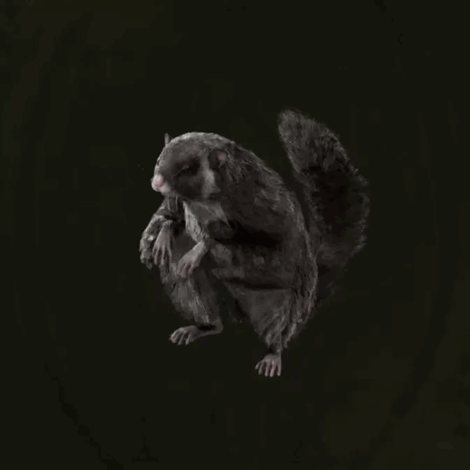 MGS Delta -  Japanese Flying Squirrel