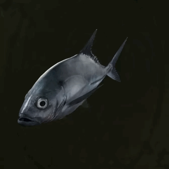 MGS Delta -  Bigeye Trevally