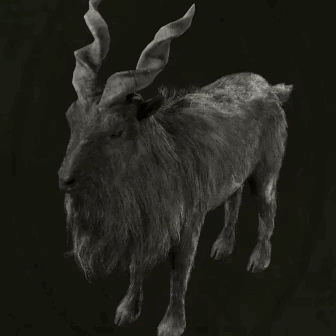 MGS Delta -  Markhor