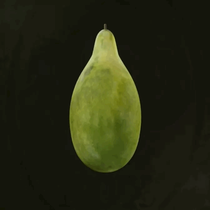 MGS Delta -  Russian False Mango