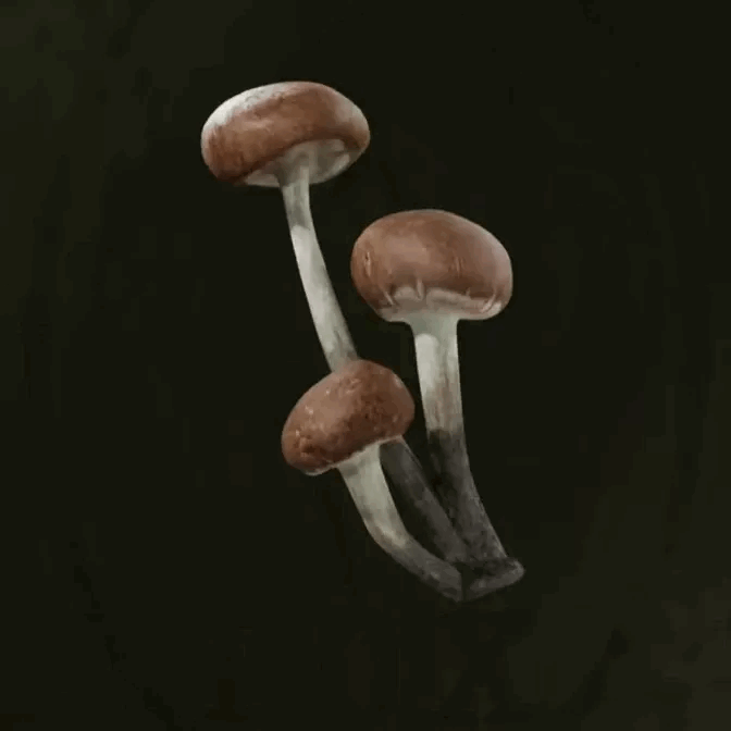 MGS Delta -  Fly Agaric