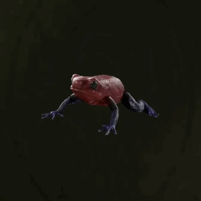 MGS Delta -  Poison Dart Frog