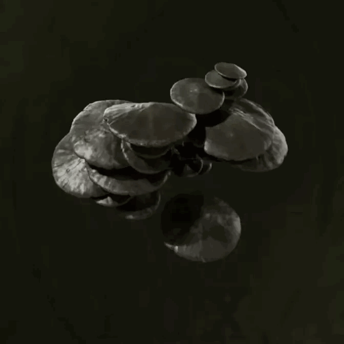 MGS Delta -  Baikal Scaly Tooth