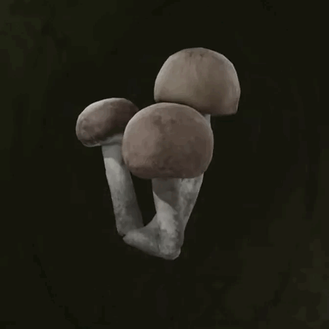 MGS Delta -  Siberian Inkcap