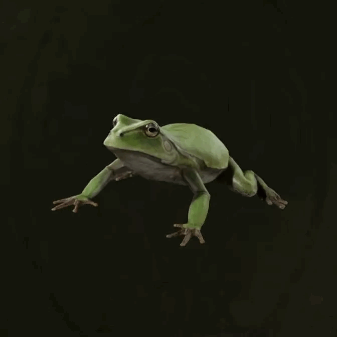 MGS Delta -  Tree Frog