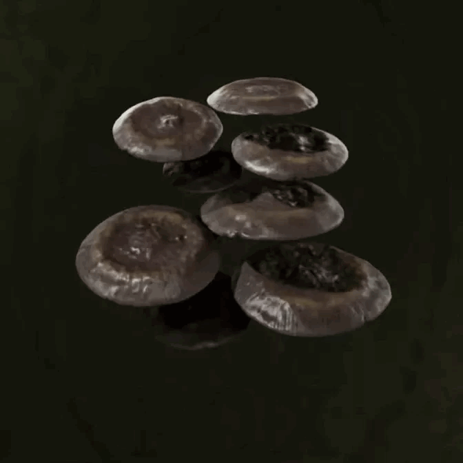 Ural Luminescent Mushroom