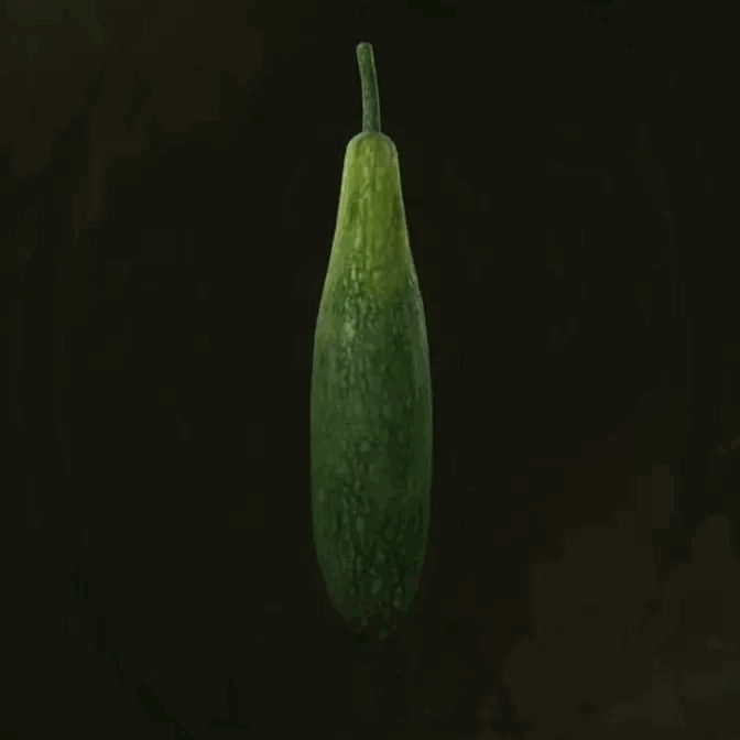 MGS Delta -  Vine Melon