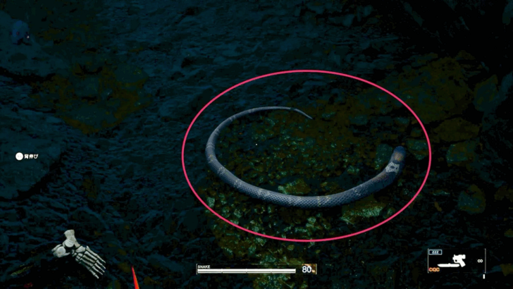 Taiwanese Cobra Snake B Overworld