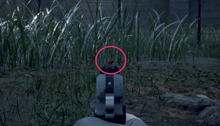 Red Avadavat Location