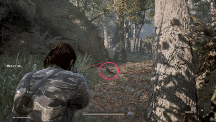 Sunda Whistling-Thrush Location