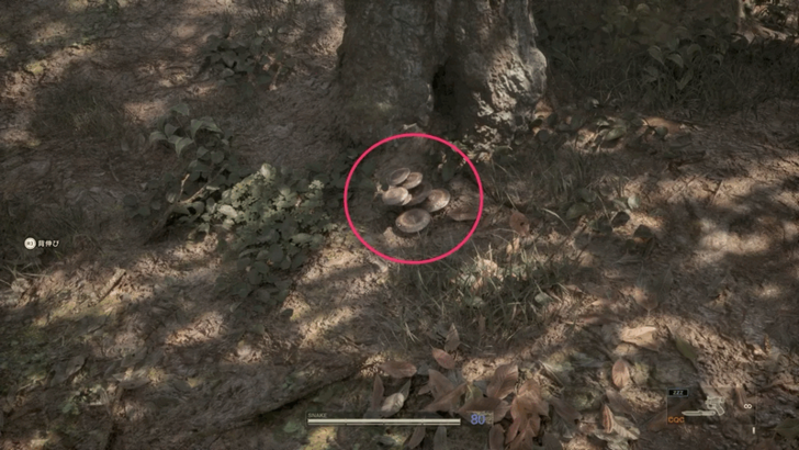 Ural Luminescent Mushroom Mushroom B Overworld