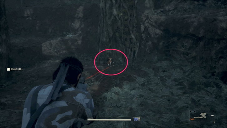 Fly Agaric Mushroom D Overworld