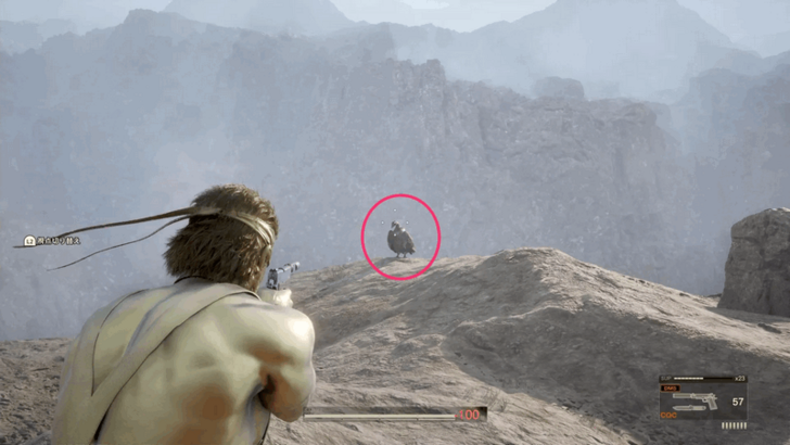 White-Rumped Vulture Location