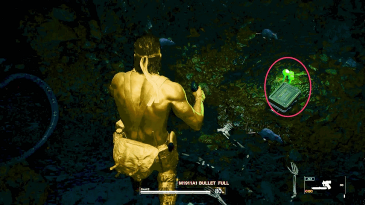 Russian Glowcap Location