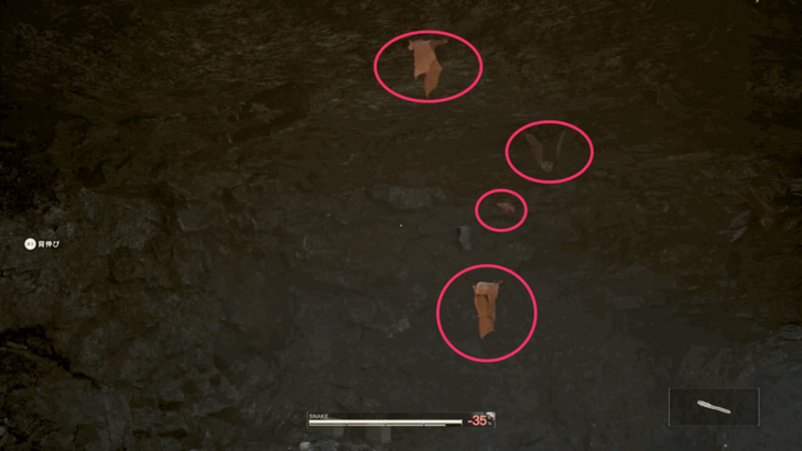 Vampire Bat Location