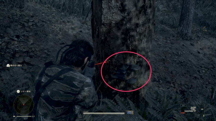 Baikal Scaly Tooth Location