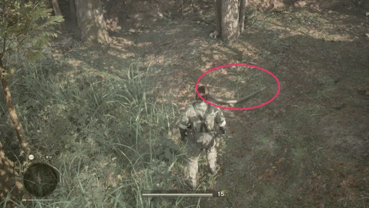 Giant Anaconda Location