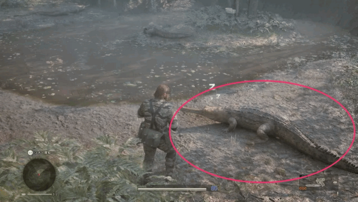 Indian Gavial Gavial Overworld