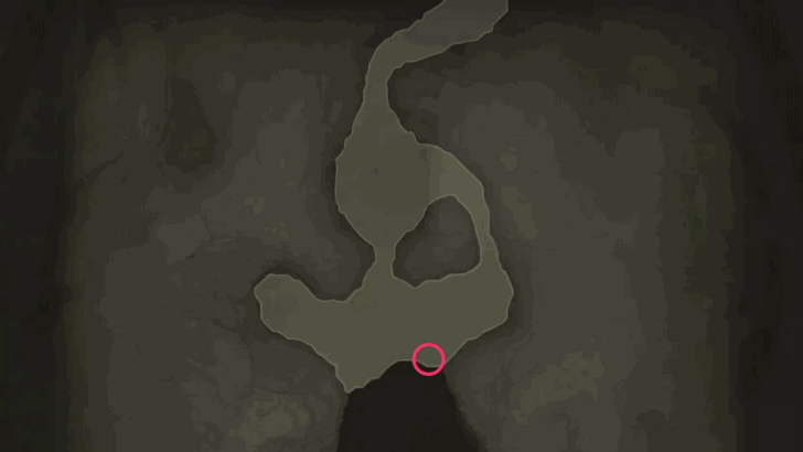 European Rabbit Location