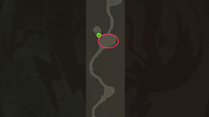 Russian Glowcap Location