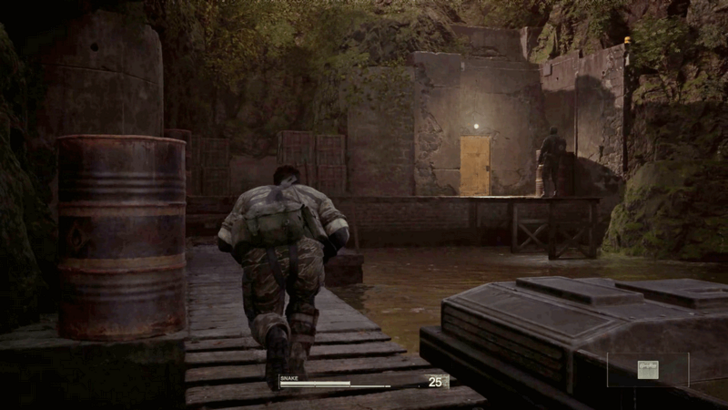 Cat-Like Behavior Location