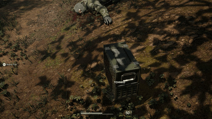 Tsuchinoko World View