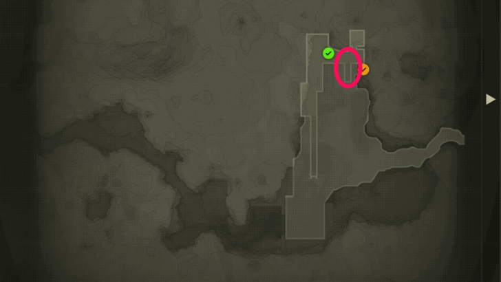 Cat-Like Behavior Location