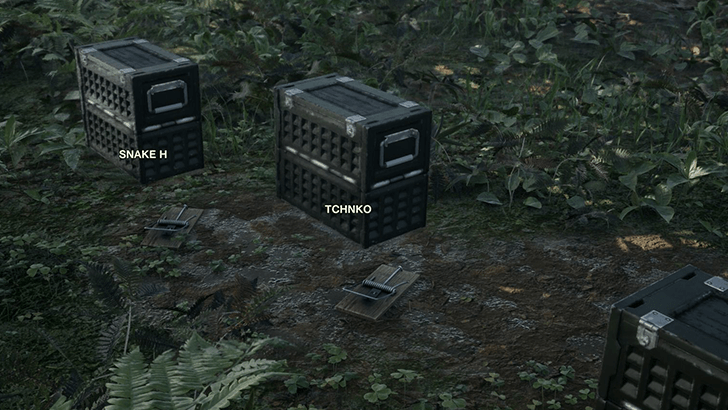 Graniny Gorki South Tsuchinoko