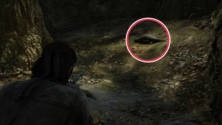 Tikhogornyj Tsuchinoko