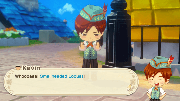 Story of Seasons - Grand Bazaar Giving Gifts to Characters