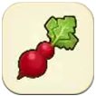 Story of Seasons: Grand Bazaar - Calabash Radish Image