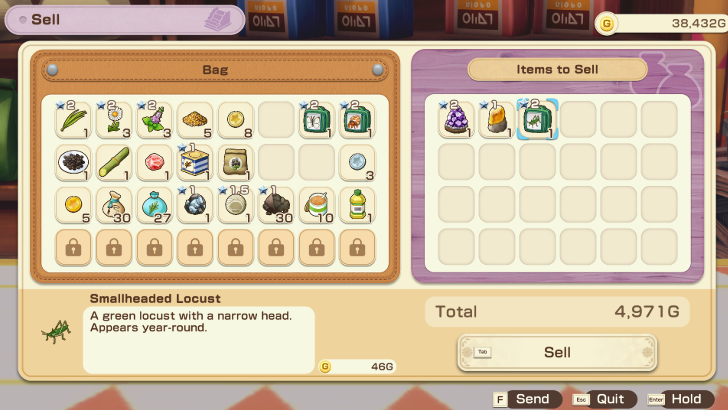 Story of Seasons - Grand Bazaar Sell to Miguel