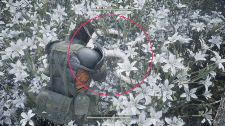 Snake Solidus Location