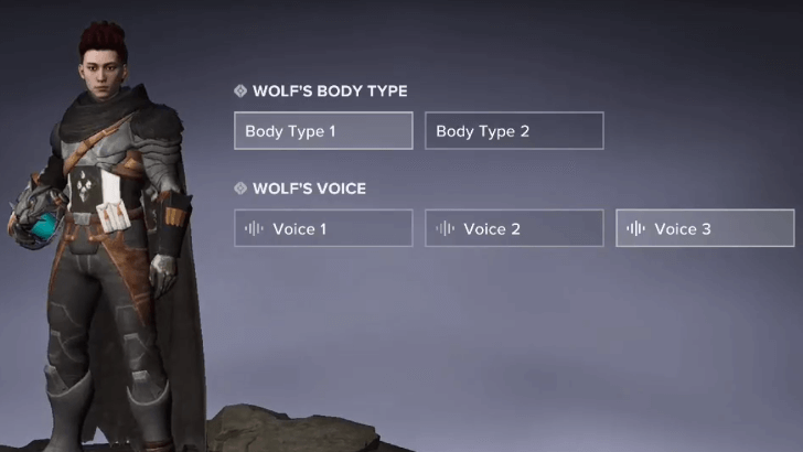 Voice Options
