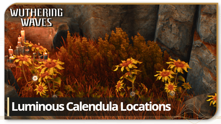 Wuthering Waves How to Get Luminous Calendula