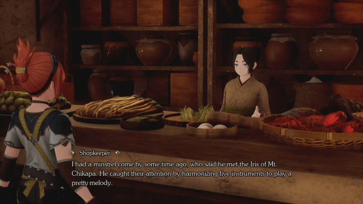 Iris and Minstrel Shopkeeper