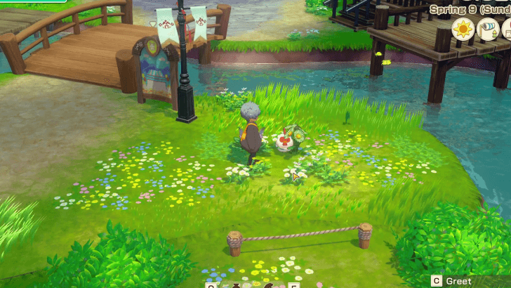 Story of Seasons Grand Bazaar - Chicken Location 1