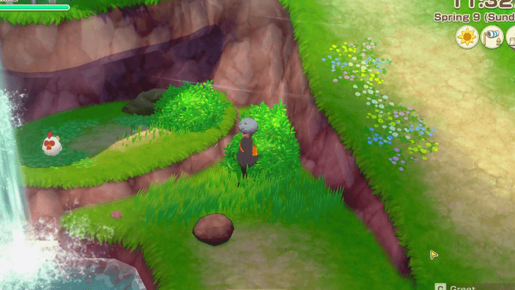 Story of Seasons Grand Bazaar - Chicken Location 3, mode;scale