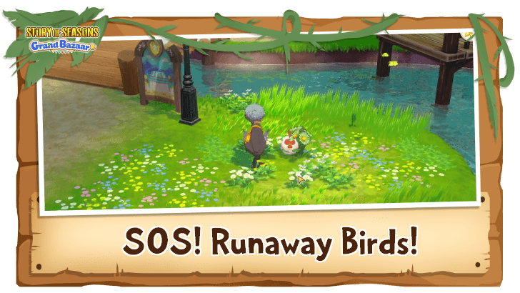 Story of Seasons Grand Bazaar - SOS! Runaway Birds! Guide
